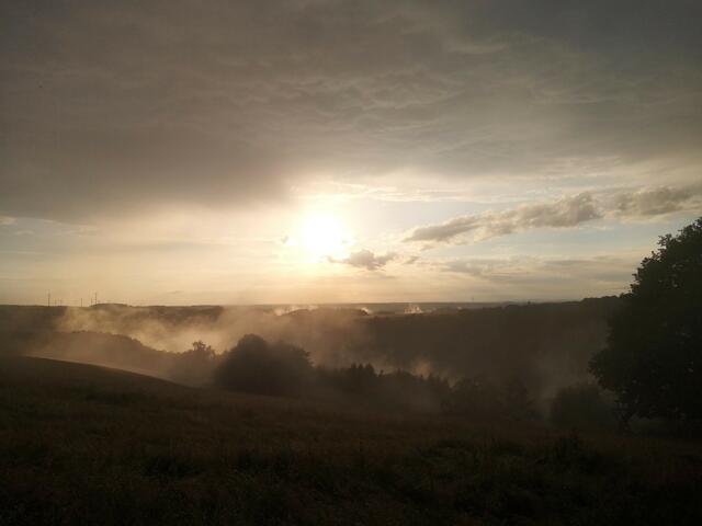 Vinningen im Juni | Foto: Eveline Brill