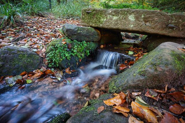 Bachlauf am Hilschweiher im Herbst | Foto: Michael Jochem
