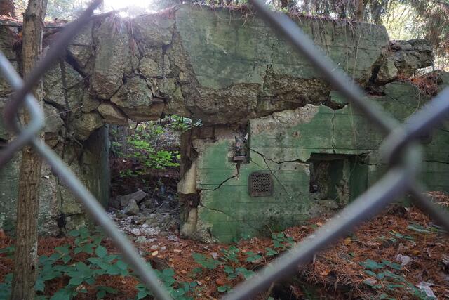 Bunker am Westwallweg in Schaidt | Foto: Michael Jochem