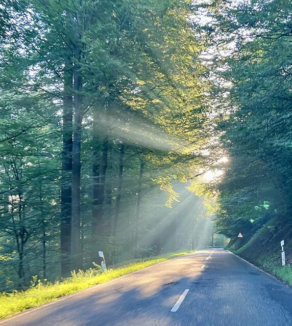 Hochstellerhof im August  | Foto: Eveline Brill 