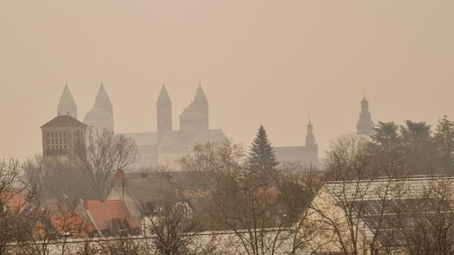 Dom zu Speyer | Foto: Gunter Martini-Schmitt