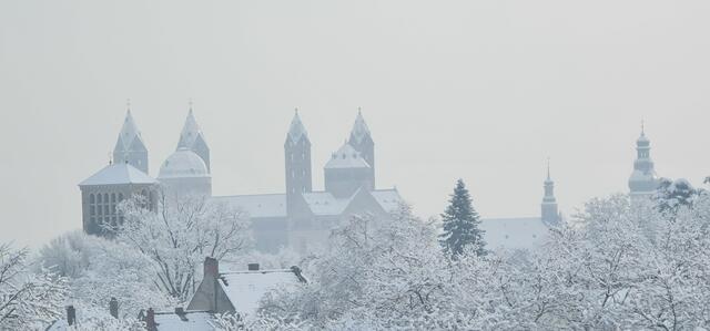 Dom zu Speyer | Foto: Gunter Martini-Schmitt