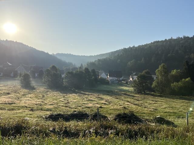 Salzwoog im August | Foto: Eveline Brill 