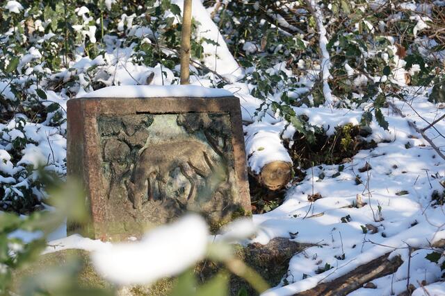 verschneite Wolfsquelle in Hagenbach | Foto: Michael Jochem