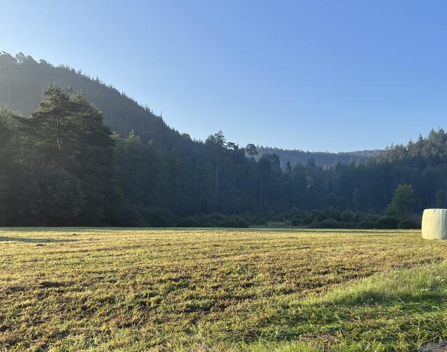 Glashütte im August | Foto: Eveline Brill 