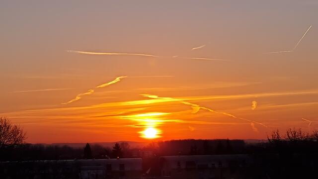 Dom zu Speyer | Foto: Gunter Martini-Schmitt