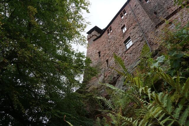 Burg Berwartstein | Foto: Michael Jochem