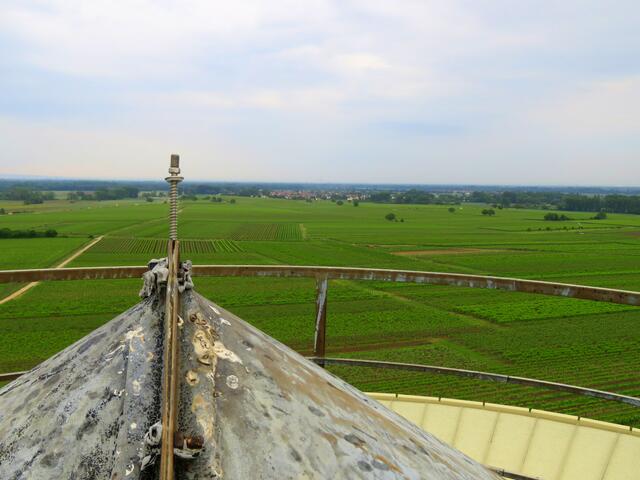 Ausblick auf das Rebenmeer bei Duttweiler - Sommer | Foto: Gerhard Syring-Lingenfelder