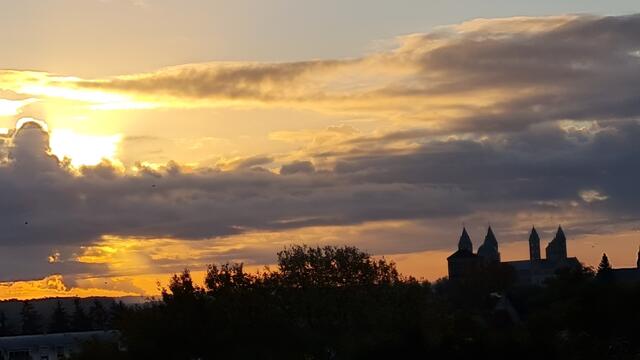 Dom zu Speyer | Foto: Gunter Martini-Schmitt