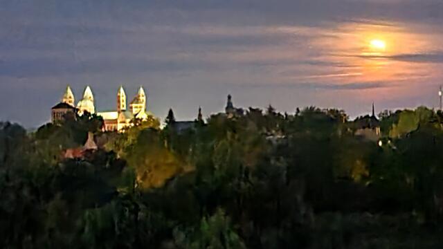 Dom zu Speyer | Foto: Gunter Martini-Schmitt