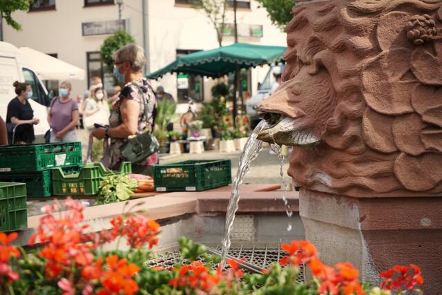 Ludwigsmarkt in Hagenbach um der Brunnen | Foto: Michael Jochem