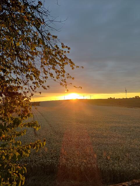 Sonnenuntergang im Sommer bei Kröppen | Foto: Silke Brandstetter