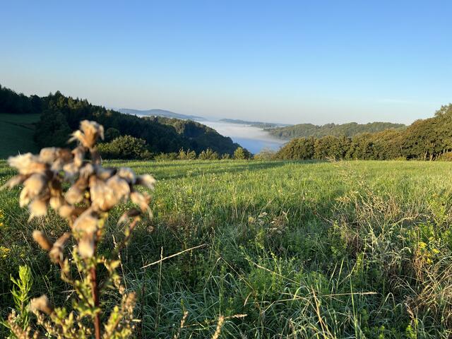 Hochstellerhof im August | Foto: Eveline Brill 