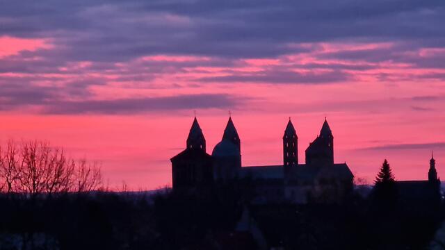 Dom zu Speyer | Foto: Gunter Martini-Schmitt