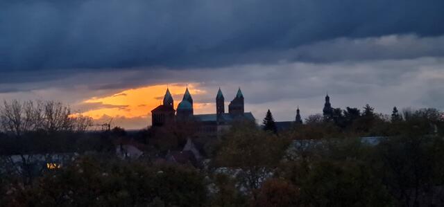 Dom zu Speyer | Foto: Gunter Martini-Schmitt