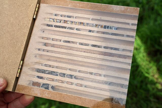 Am Anfang des Projekts stand eine fünftägige Waldfreizeit im Frühjahr. Dabei erfuhren die Teilnehmer allerhand Wissenswertes über Insekten. Unter anderem lernten sie die unterschiedlichen Entwicklungsstadien einer Wildbiene kennen. | Foto: Dennis Christmann/Lebenshilfe Südliche Weinstraße