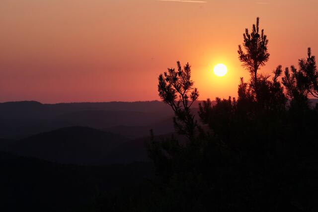 Sonnenuntergang auf dem Buhlsteinpfeiler bei Busenberg | Foto: Michael Jochem
