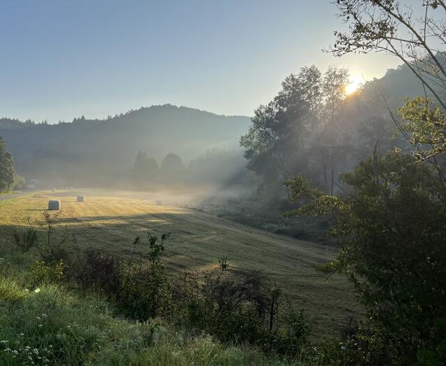 Glashütte im August  | Foto: Eveline Brill 