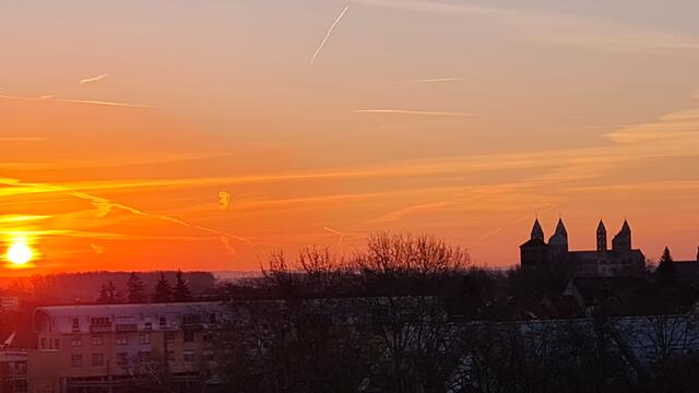 Dom zu Speyer | Foto: Gunter Martini-Schmitt