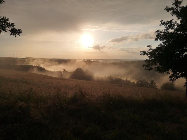 Vinningen im Juni | Foto: Eveline Brill