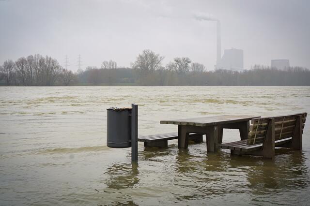 Hochwasser am Maximiliansauer Rheinufer | Foto: Michael Jochem