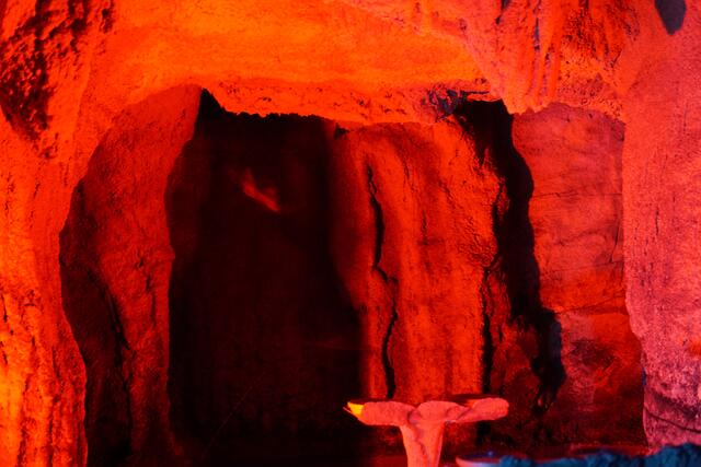 Fledermaushöhle im Karlsruher Zoo | Foto: Michael Jochem