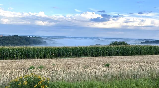 Vinningen im August | Foto: Eveline Brill 