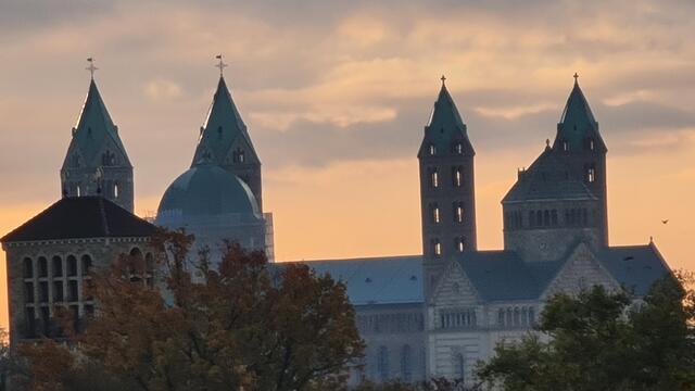 Dom zu Speyer | Foto: Gunter Martini-Schmitt