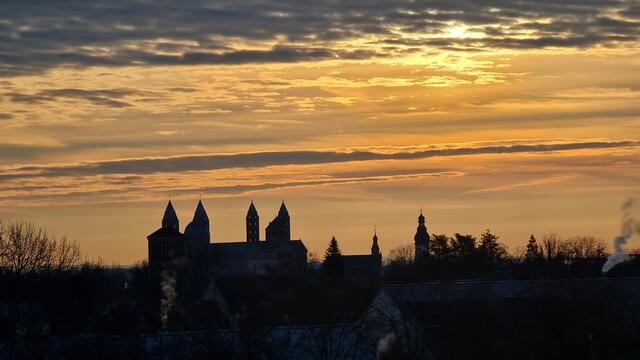 Dom zu Speyer | Foto: Gunter Martini-Schmitt