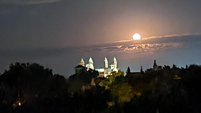 Dom zu Speyer | Foto: Gunter Martini-Schmitt