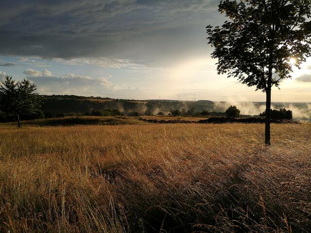 Vinningen im Juni | Foto: Eveline Brill