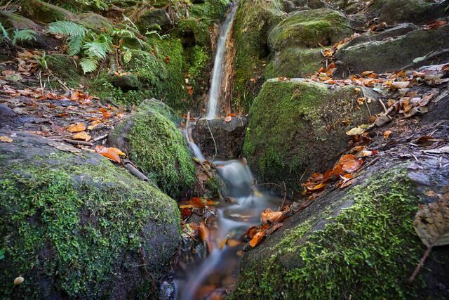 Wasserlauf am Hilschweiher im Herbst | Foto: Michael Jochem