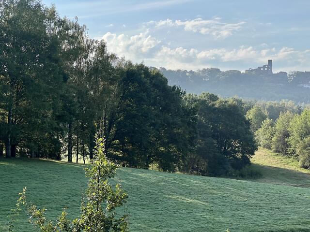 Dahn im August mit Blick auf das Burgenmassiv Altdahn | Foto: Eveline Brill 