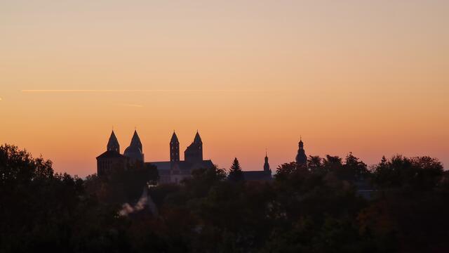 Dom zu Speyer | Foto: Gunter Martini-Schmitt