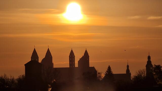 Dom zu Speyer | Foto: Gunter Martini-Schmitt