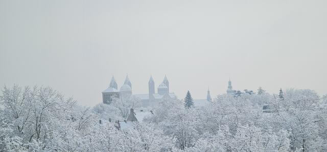 Dom zu Speyer | Foto: Gunter Martini-Schmitt