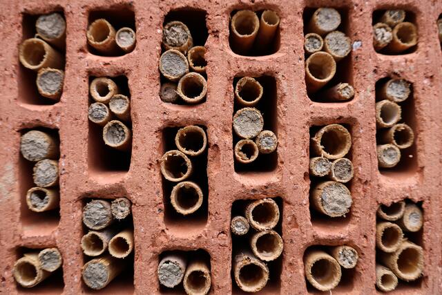 Foto: Dennis Christmann/Lebenshilfe Südliche Weinstraße