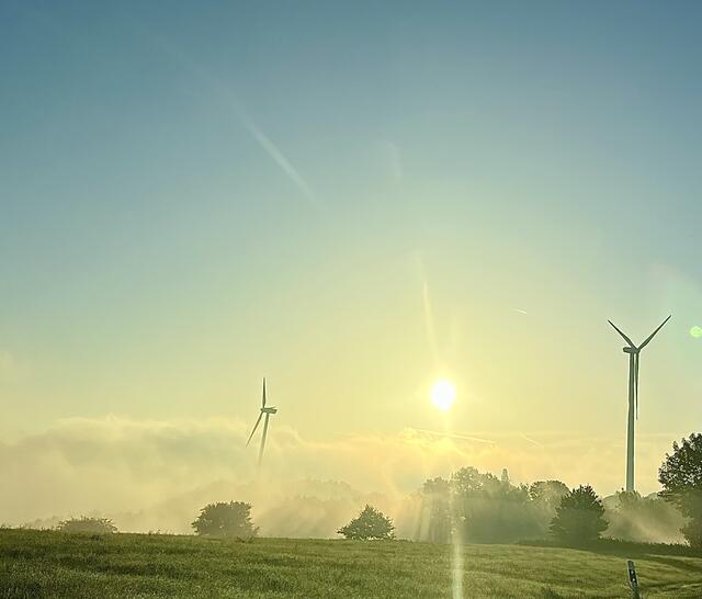 Vinningen im August | Foto: Eveline Brill 