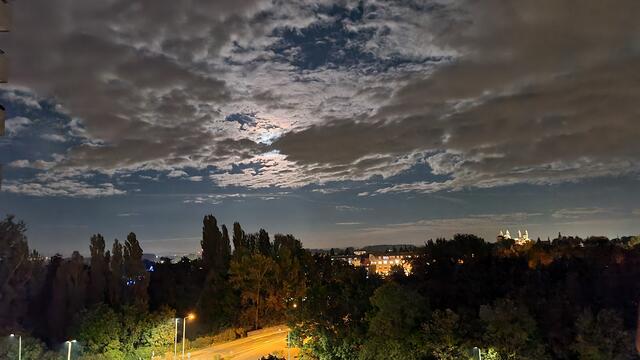 Dom zu Speyer | Foto: Gunter Martini-Schmitt