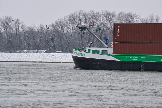 Winter am Rheinufer Maximiliansau | Foto: Michael Jochem