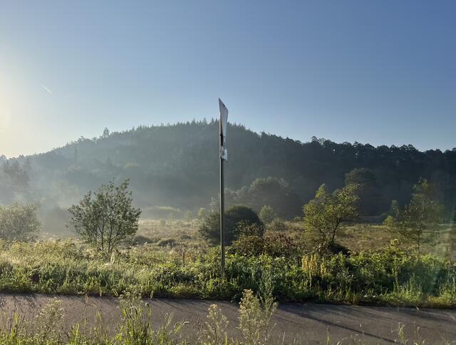 Salzwoog im August | Foto: Eveline Brill 