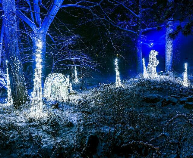 Christmas Garden lässt in der dunklen Jahreszeit Parks und Gärten erstrahlen (Archivbild aus Berlin). | Foto: Christmas Garden/Michael Clemens