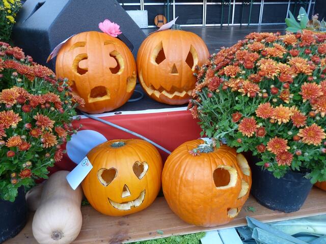 Foto: Stadtverwaltung Schifferstadt