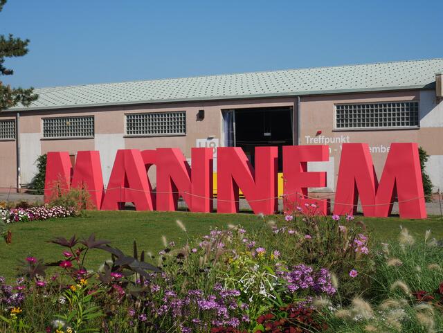 Logo | Foto: Ich