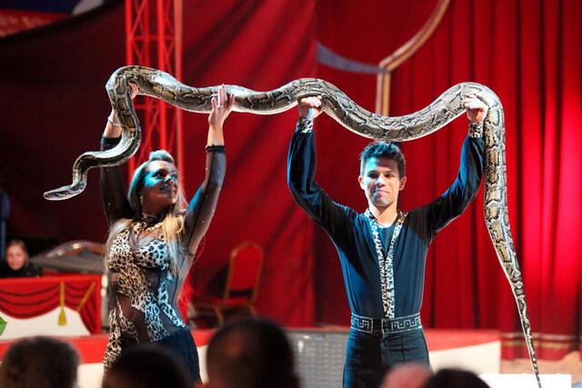 Foto: Circus Rolina