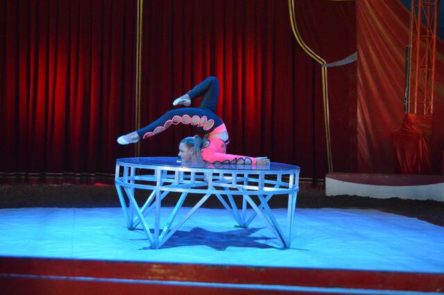 Foto: Circus Rolina