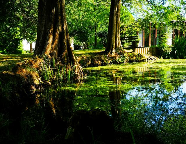 Motiv 11: Park in Eppenbrunn im Juli | Foto: Eveline Brill