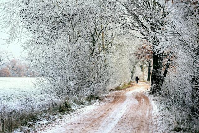 Motiv 11: Winterlicher Weg am Wehlachweiher bei Haßloch | Foto: Gundo Brauch - gubraFoto