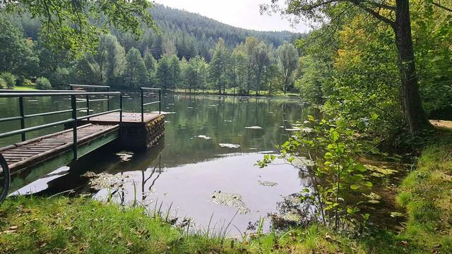 Helmbachweiher | Foto: S. K.