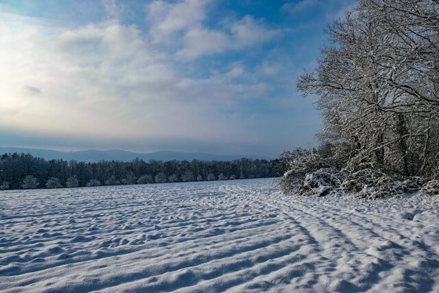 Motiv 4: Verschneiter Tag bei Hütschenhausen | Foto: Brian Cohee